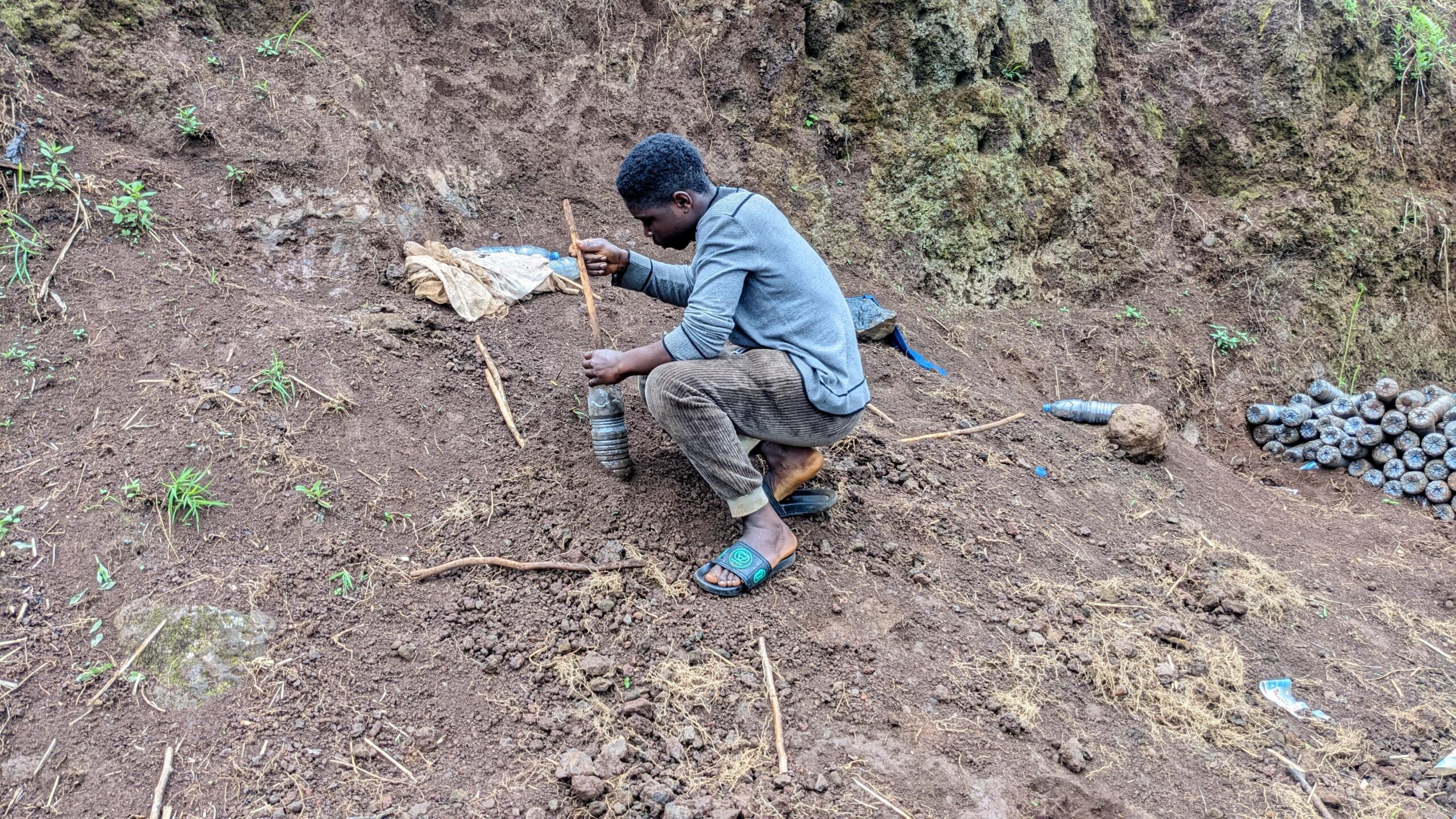 Filling plastic bottles with soil Filling plastic bottles with soil